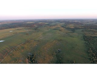 TRACT 3 NORTH SIDE LOOKING SOUTH - LARGE KANSAS AUCTION - 7,672+/- ACRES OFFERED IN 12 TRACTS IN CHAUTAUQUA COUNTY, KANSAS